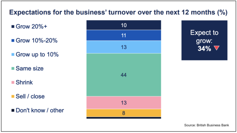 Chart of UK businesses' turnover expectations for the next 12 months, with 34% expecting to grow